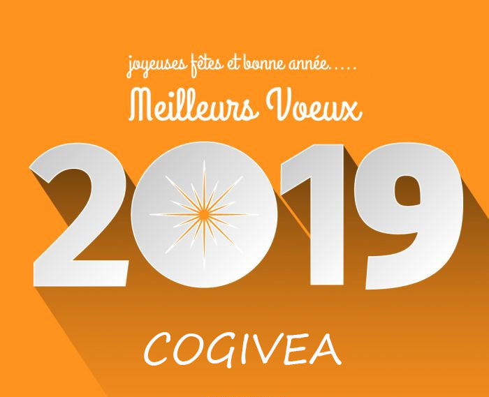 voeux 2019